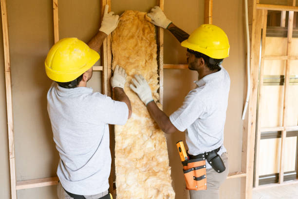 Types of Insulation We Offer in Amelia, OH